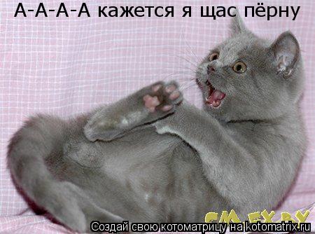 А-А-А-А кажется я щас пёрну... Котоматрица: А-А-А-А кажется я щас пёрну