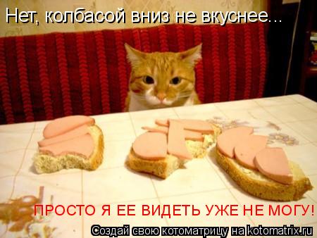 Нет, колбасой вниз не вкуснее... ПРОСТО Я ЕЕ ВИДЕТЬ УЖЕ НЕ МОГУ!!!... Котоматрица: Нет, колбасой вниз не вкуснее... ПРОСТО Я ЕЕ ВИДЕТЬ УЖЕ НЕ МОГУ!!!