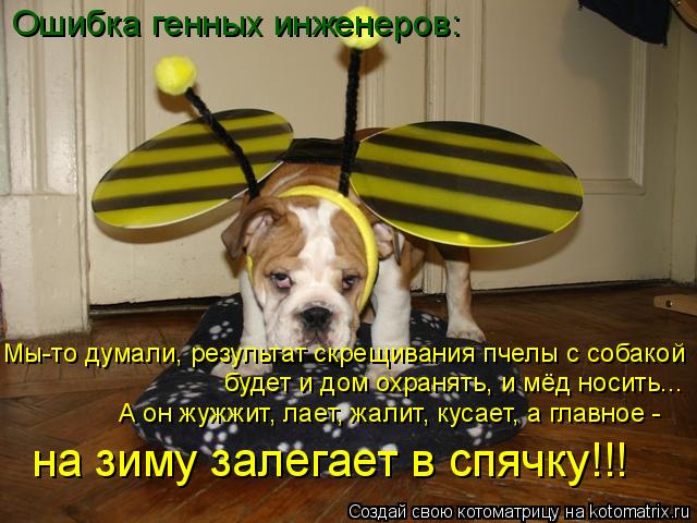 http://kotomatrix.ru/images/lolz/2009/02/15/WK.jpg