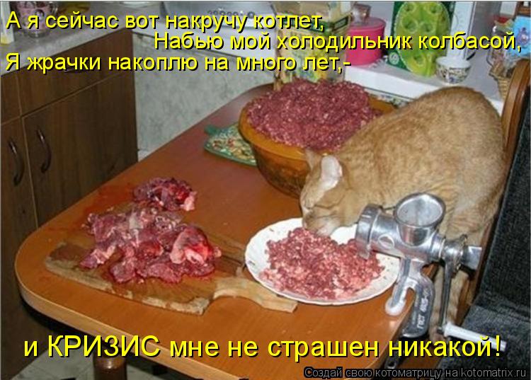 Котоматрица: А я сейчас вот накручу котлет, Набью мой холодильник колбасой, Я жрачки накоплю на много лет,- и КРИЗИС мне не страшен никакой!