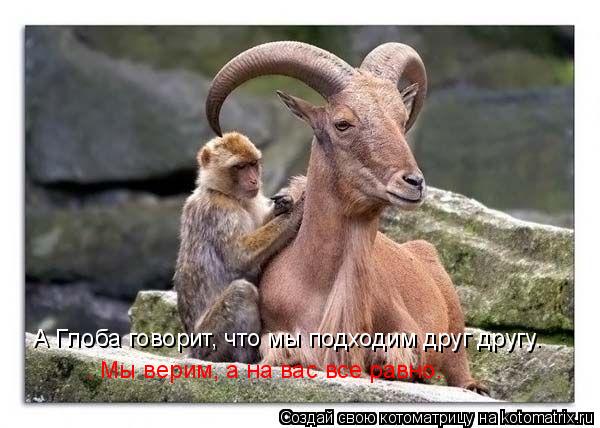 Котоматрица: А Глоба говорит, что мы подходим друг другу.  . Мы верим, а на вас все равно.