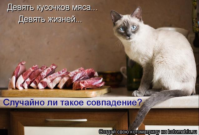 Котоматрица: Девять кусочков мяса... Девять жизней... Случайно ли такое совпадение?
