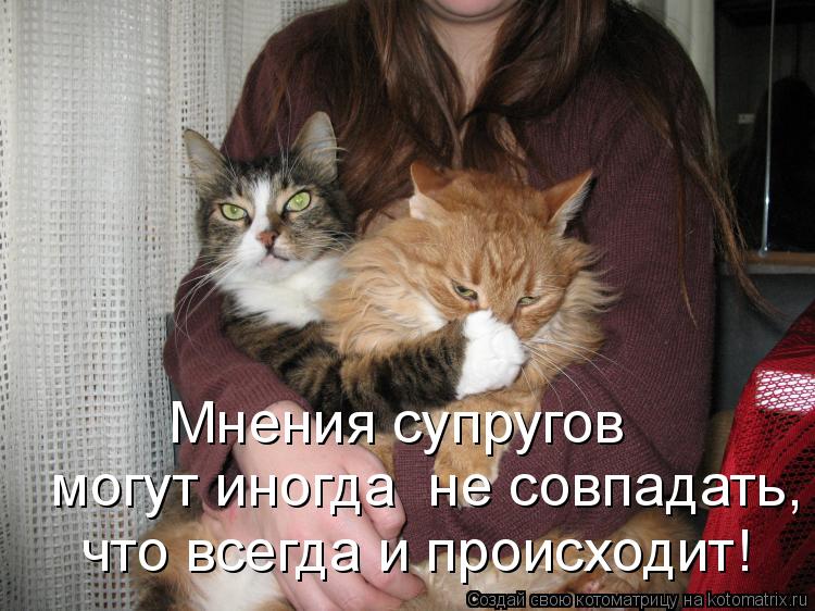 Мнения супругов могут иногда не совпадать, что всегда и происходит!... Котоматрица: Мнения супругов могут иногда не совпадать, что всегда и происходит!
