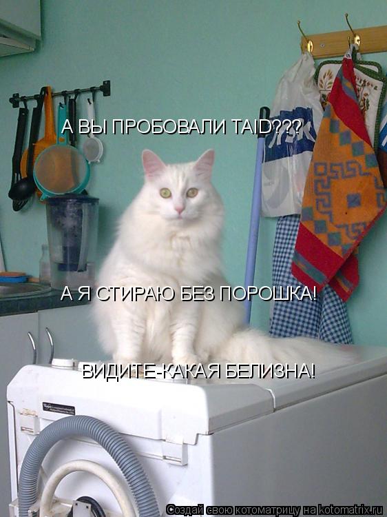 Котоматрица: А ВЫ ПРОБОВАЛИ TAID??? А Я СТИРАЮ БЕЗ ПОРОШКА! ВИДИТЕ-КАКАЯ БЕЛИЗНА!