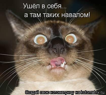 Котоматрица: Ушёл в себя... а там таких навалом!
