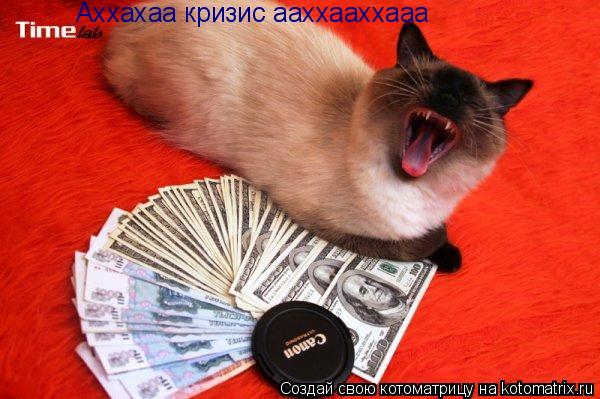 Котоматрица: Аххахаа кризис ааххааххааа