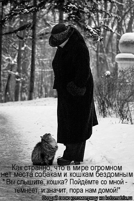 темнеет, и значит, пора нам домой!" " Вы слышите, кошка? Пойдёмте со мной - нет места собакам и кошка... Котоматрица: темнеет, и значит, пора нам домой!" " Вы слышите, кошка? Пойдёмте со мной - нет места собакам и кошкам бездомным Как странно, что в мире огромно