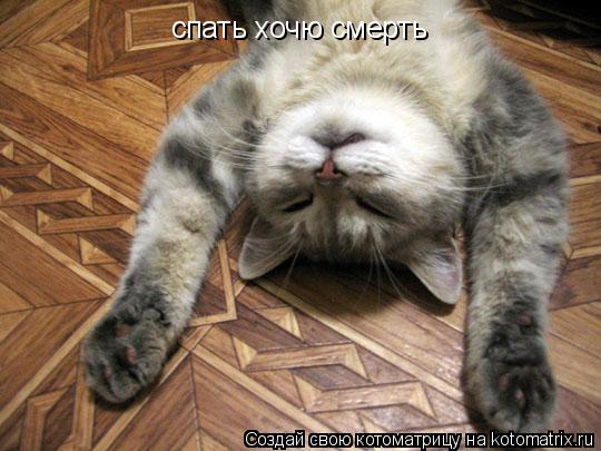 Котоматрица: спать хочю смерть
