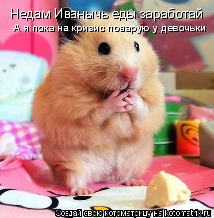 Котоматрица: Недам Иванычь еды заработай  А я пока на кризис поварую у девочьки