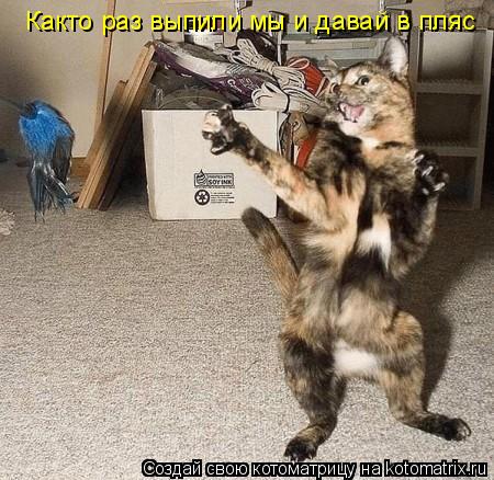 Котоматрица: Както раз выпили мы и давай в пляс
