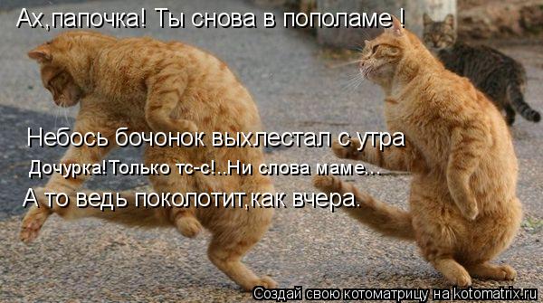 Котоматрица: Ах,папочка! Ты снова в пополаме ! Небось бочонок выхлестал с утра Дочурка!Только тс-с!..Ни слова маме... А то ведь поколотит,как вчера.