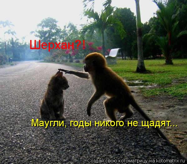 http://kotomatrix.ru/images/lolz/2009/02/15/uS.jpg