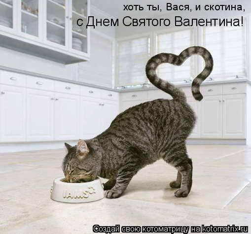 Котоматрица: хоть ты, Вася, и скотина, с Днем Святого Валентина!