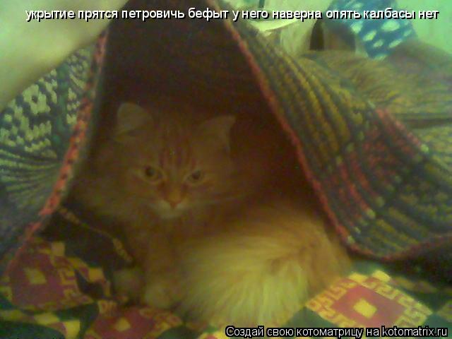 Котоматрица: укрытие прятся петровичь бефыт у него наверна опять калбасы нет