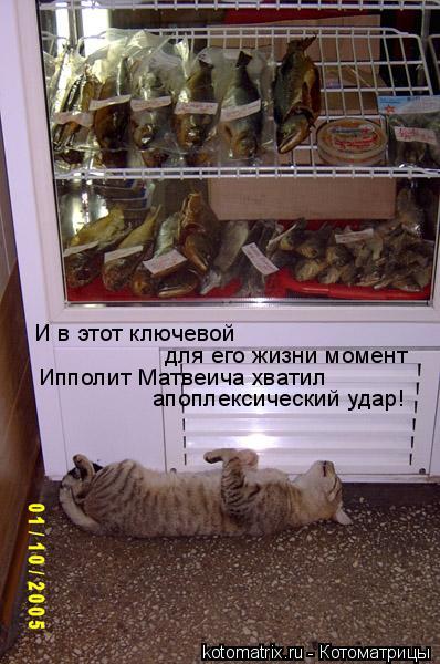 И в этот ключевой для его жизни момент Ипполит Матвеича хватил апоплексический удар!... Котоматрица: И в этот ключевой для его жизни момент Ипполит Матвеича хватил апоплексический удар!