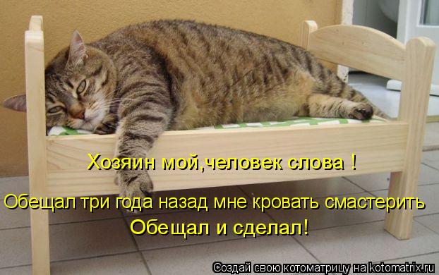 Котоматрица: Обещал три года назад мне кровать смастерить Хозяин мой,человек слова ! Обещал и сделал!