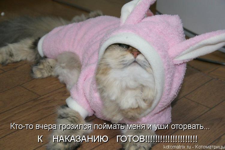 http://kotomatrix.ru/images/lolz/2009/02/16/U_.jpg
