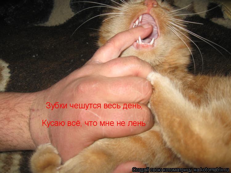 По чему у меня чешутся зубы По чему у меня чешутся зубы