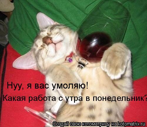 Котоматрица: Нуу, я вас умоляю! Какая работа с утра в понедельник?