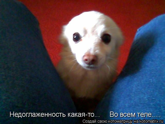 Недоглаженность какая-то... Во всем теле........ Котоматрица: Недоглаженность какая-то... Во всем теле.....