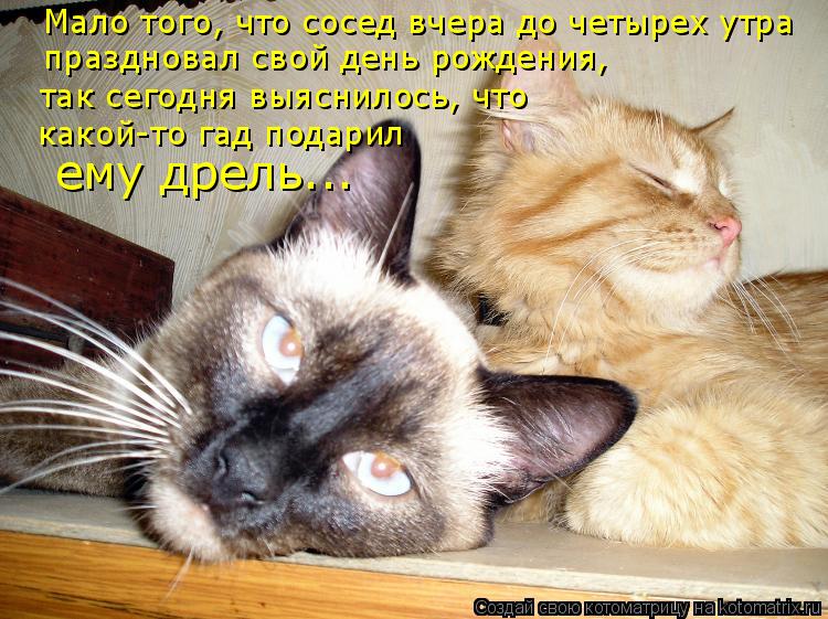 http://kotomatrix.ru/images/lolz/2009/02/16/xO.jpg