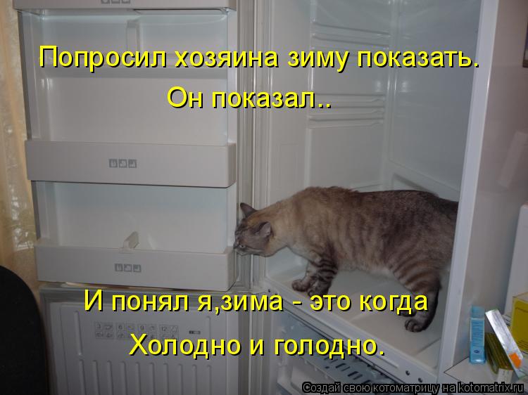 Котоматрица: Попросил хозяина зиму показать. Холодно и голодно. Он показал.. И понял я,зима - это когда