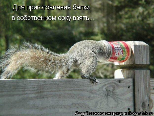 Для приготовления белки в собственном соку взять...... Котоматрица: Для приготовления белки в собственном соку взять...