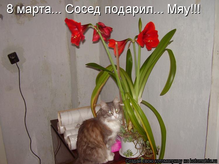 8 марта поздравление соседке 8 марта поздравление соседке