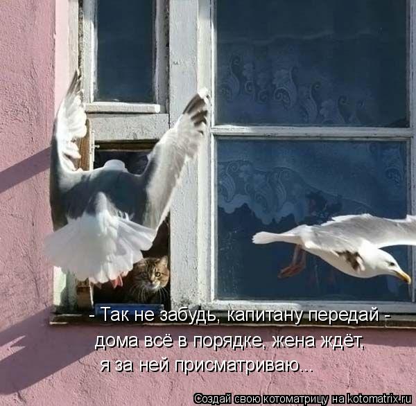 - Так не забудь, капитану передай - дома всё в порядке, жена ждёт, я за ней присматриваю...... Котоматрица: - Так не забудь, капитану передай - дома всё в порядке, жена ждёт, я за ней присматриваю...