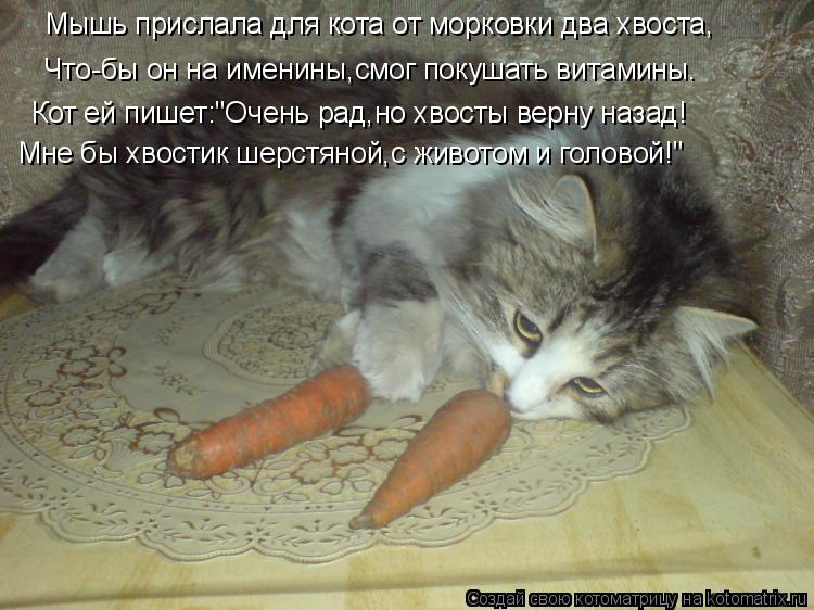 Котоматрица: Мышь прислала для кота от морковки два хвоста, Что-бы он на именины,смог покушать витамины. Кот ей пишет:"Очень рад,но хвосты верну назад! Мне