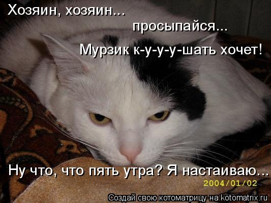 Котоматрица: Хозяин, хозяин...  просыпайся... Мурзик к-y-y-y-шать хочет! Ну что, что пять утра? Я настаиваю...