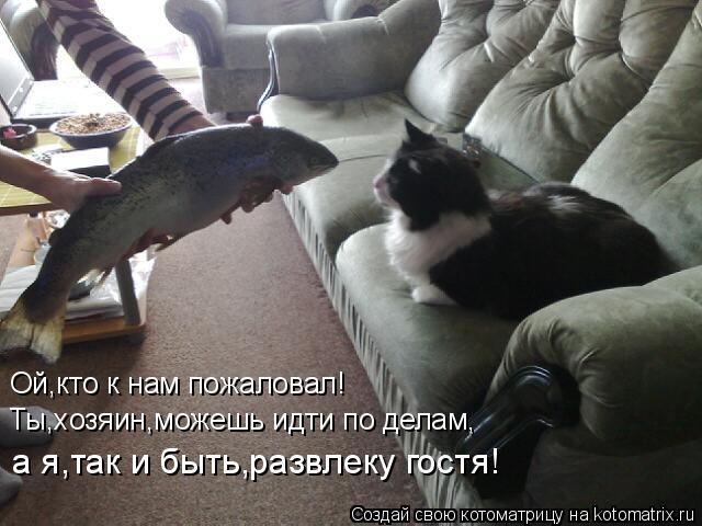 Ой,кто к нам пожаловал! Ты,хозяин,можешь идти по делам, а я,так и быть,развлеку гостя!... Котоматрица: Ой,кто к нам пожаловал! Ты,хозяин,можешь идти по делам, а я,так и быть,развлеку гостя!