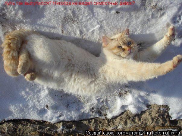 Хуль так вылупился? Никогда не видел симпотных девок?... Котоматрица: Хуль так вылупился? Никогда не видел симпотных девок?