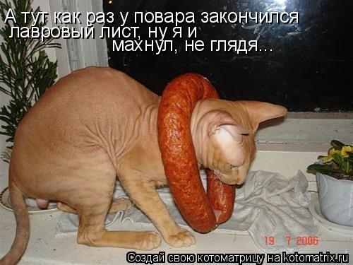 А тут как раз у повара закончился лавровый лист, ну я и махнул, не глядя...... Котоматрица: А тут как раз у повара закончился лавровый лист, ну я и махнул, не глядя...