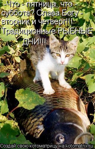 http://kotomatrix.ru/images/lolz/2009/02/17/wD.jpg