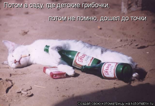 Потом в саду, где детские грибочки, потом не помню, дошел до точки... Котоматрица: Потом в саду, где детские грибочки, потом не помню, дошел до точки