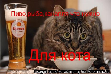 Котоматрица: Пиво,рыба,канапля что нужно  Для кота