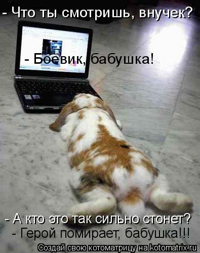 - Что ты смотришь, внучек? - Герой помирает, бабушка!!! - А кто это так сильно стонет? - Боевик, ба... Котоматрица: - Что ты смотришь, внучек? - Герой помирает, бабушка!!! - А кто это так сильно стонет? - Боевик, бабушка!