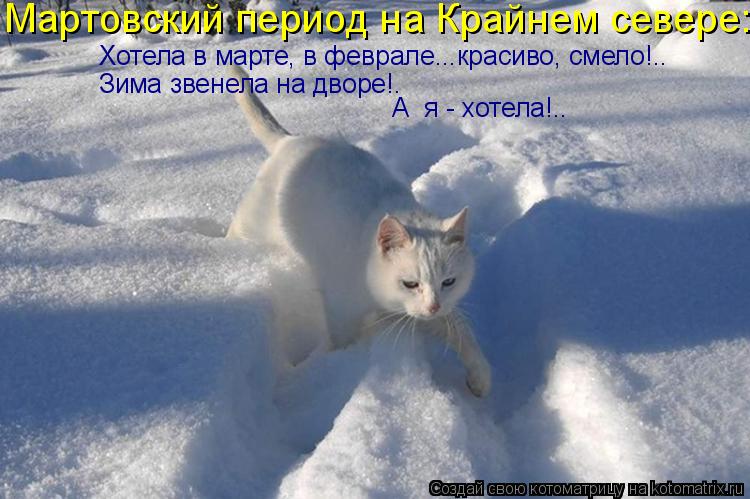 Хотела в марте, в феврале...красиво, смело!.. Зима звенела на дворе!. А я - хотела!.. Мартовский пер... Котоматрица: Хотела в марте, в феврале...красиво, смело!.. Зима звенела на дворе!. А я - хотела!.. Мартовский период на Крайнем севере: