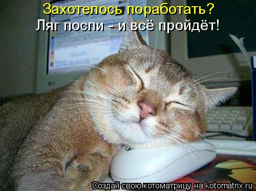 Ляг поспи - и всё пройдёт! Захотелось поработать?... Котоматрица: Ляг поспи - и всё пройдёт! Захотелось поработать?