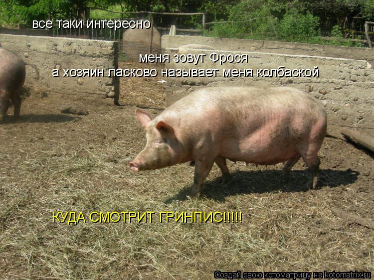 Все Таки Интересно