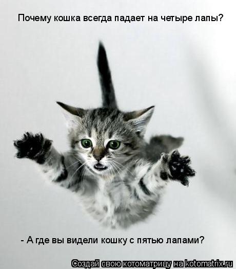 Котоматрица: Почему кошка всегда падает на четыре лапы?  - А где вы видели кошку с пятью лапами?