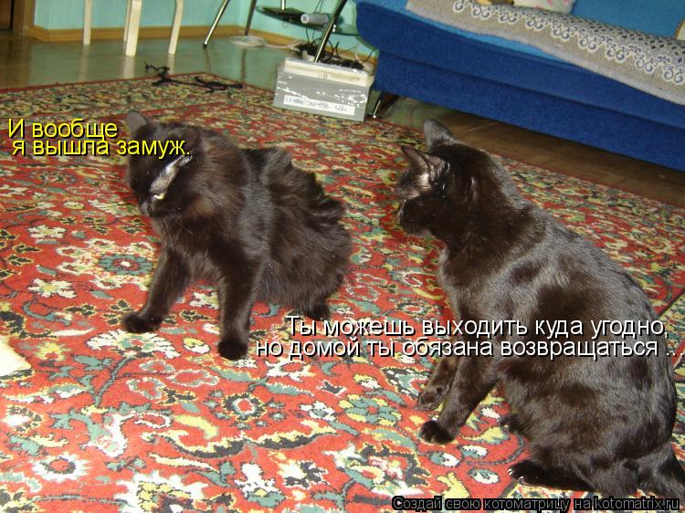 И вообще я вышла замуж. Ты можешь выходить куда угодно, но домой ты обязана возвращаться ...... Котоматрица: И вообще я вышла замуж. Ты можешь выходить куда угодно, но домой ты обязана возвращаться ...