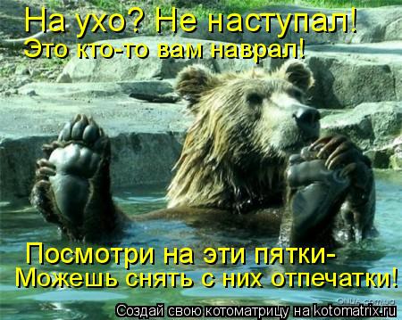 Посмотри на эти пятки- Можешь снять с них отпечатки! На ухо? Не наступал! Это кто-то вам наврал!... Котоматрица: Посмотри на эти пятки- Можешь снять с них отпечатки! На ухо? Не наступал! Это кто-то вам наврал!