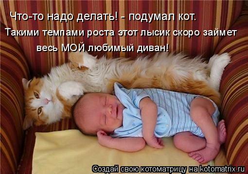 Что-то надо делать! - подумал кот. Такими темпами роста этот лысик скоро займет весь МОЙ любимый див... Котоматрица: Что-то надо делать! - подумал кот. Такими темпами роста этот лысик скоро займет весь МОЙ любимый диван!