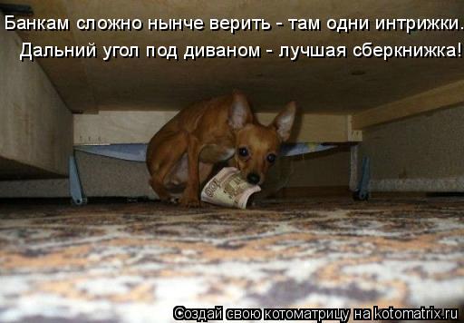 Дальний угол под диваном - лучшая сберкнижка! Банкам сложно нынче верить - там одни интрижки.... Котоматрица: Дальний угол под диваном - лучшая сберкнижка! Банкам сложно нынче верить - там одни интрижки.