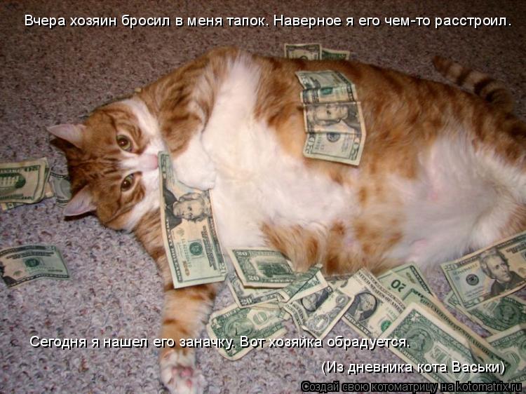 Вчера хозяин бросил в меня тапок. Наверное я его чем-то расстроил. Сегодня я нашел его заначку. Вот х... Котоматрица: Вчера хозяин бросил в меня тапок. Наверное я его чем-то расстроил. Сегодня я нашел его заначку. Вот хозяйка обрадуется. (Из дневника кота Вас