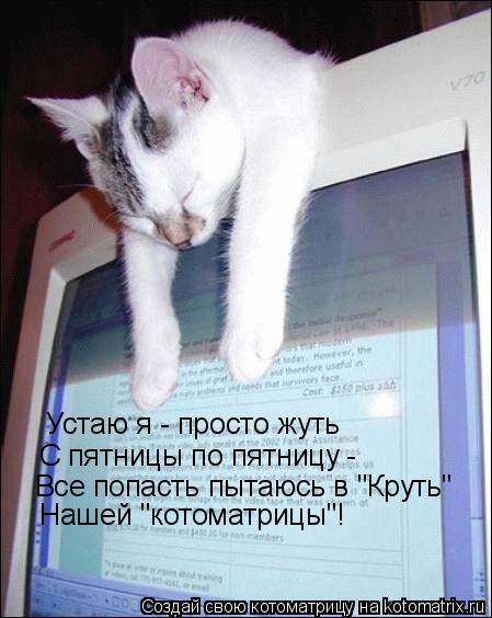 Устаю я - просто жуть С пятницы по пятницу - Все попасть пытаюсь в "Круть" Нашей "котоматрицы"!... Котоматрица: Устаю я - просто жуть С пятницы по пятницу - Все попасть пытаюсь в "Круть" Нашей "котоматрицы"!