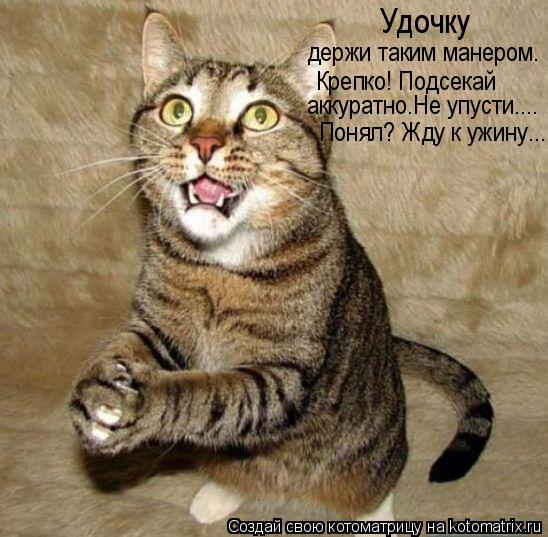 Удочку держи таким манером. Крепко! Подсекай Понял? Жду к ужину.... аккуратно.Не упусти....... Котоматрица: Удочку держи таким манером. Крепко! Подсекай Понял? Жду к ужину.... аккуратно.Не упусти....