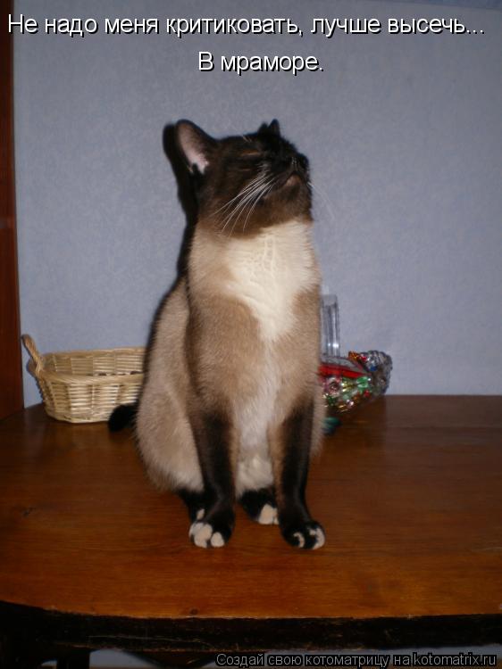 Не надо меня критиковать, лучше высечь... В мраморе.... Котоматрица: Не надо меня критиковать, лучше высечь... В мраморе.